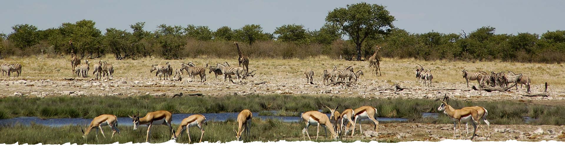 Travel in a sustainable and responsible manner to Namibia.