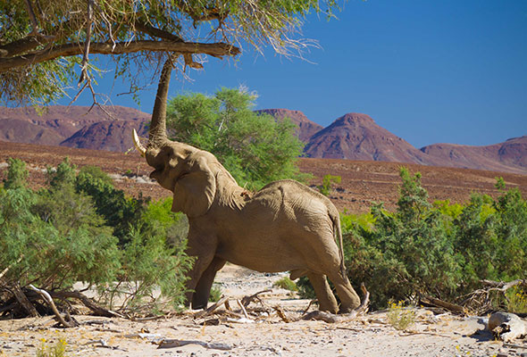 Explore-Namibia-organised-self-drive-holidays-safari-Rates-08