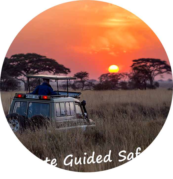 Namibia-Private-Guided-Safari-Tours-01