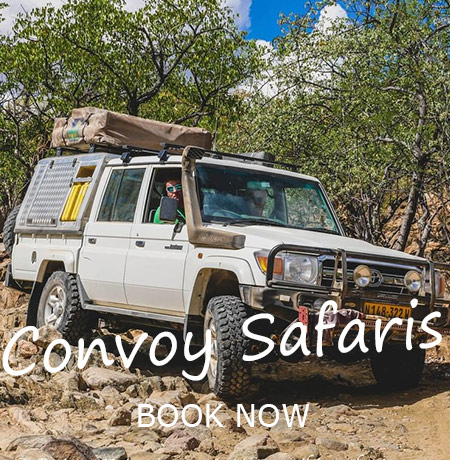 Namibia-Private-Guided-Safari-Tours-Tours-in-Convoy-05