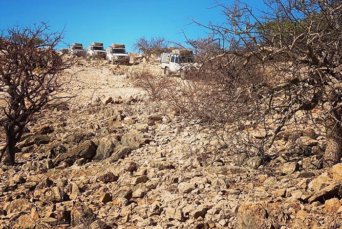 Namibië-Prive-begeleide-safari-in-konvooi-In-Convoy-damaraland