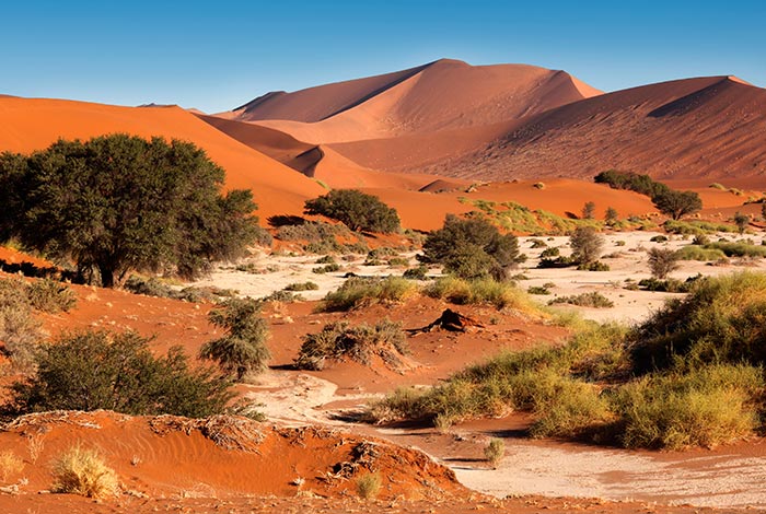 Namibia-Private-Guided-Safari-Tours-Namib-Desert
