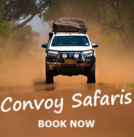 Namibia-Private-Guided-Safari-Tours-Tours-in-Convoy-05b