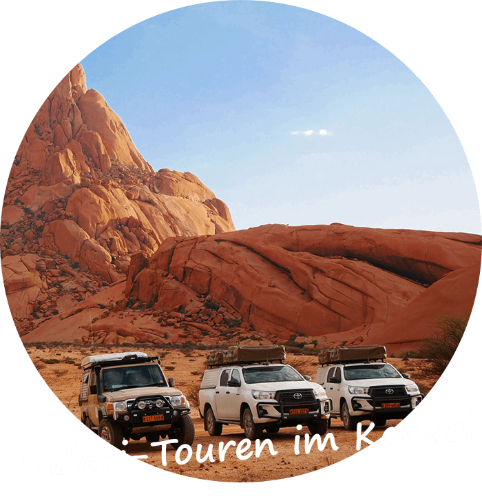 Namibia private gefuhrte Safari-Touren im Konvoi-nw1