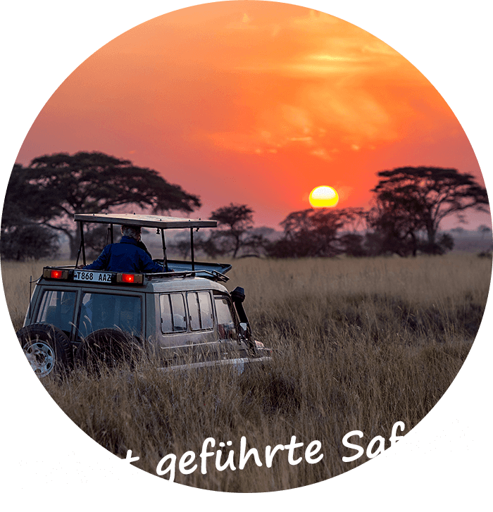 Namibia private gefuhrte Safari-Touren stretched Landcruiser