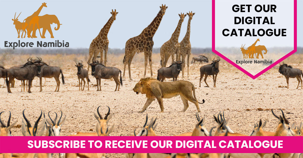 Explore-Namibia-Get-our-digital-Catalogue