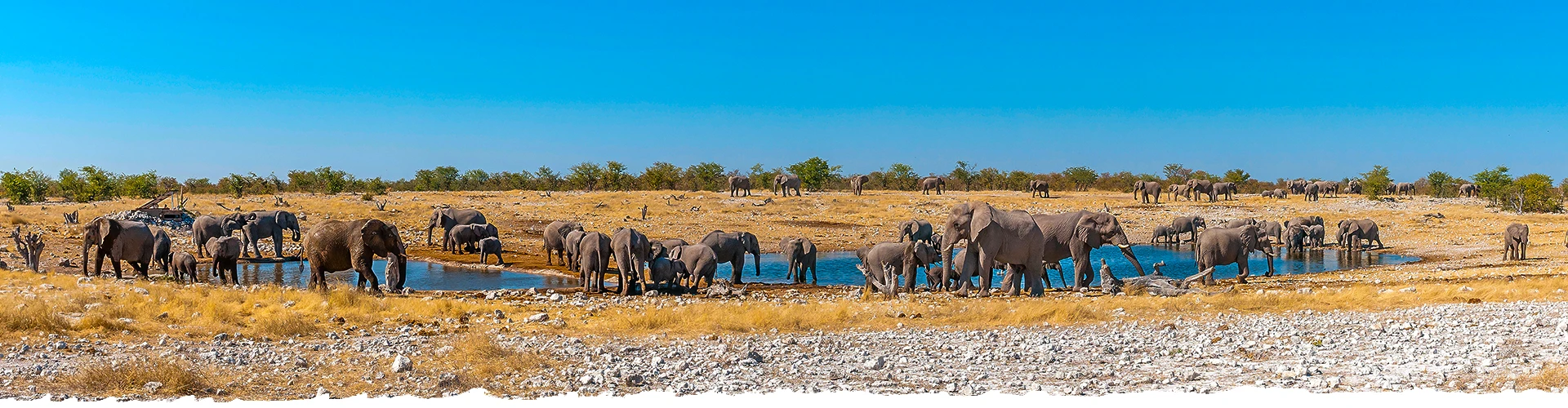 Explore-Namibia-Photo-Safari-Tours-header