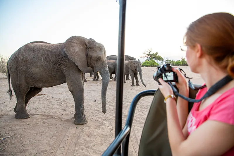 Guided Namibia Photography Tour North-Etoscha National Park
