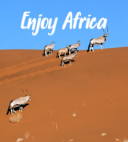Guided Namibia Photography Tour South-enjoy-africa