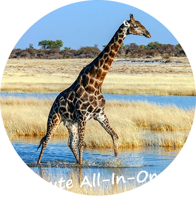 Namibia-Self-Drive-Safari-Tours-Route-All-In-One