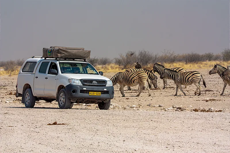 Namibia-Self-Drive-Safari-Tours-Route-All-Round-Etosha-National-Park