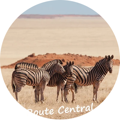 Namibia-Self-Drive-Safari-Tours-Route-Central