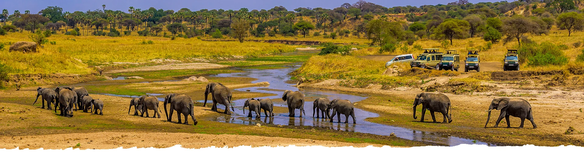 Namibia-Self-Drive-Safari-Tours-Route-Combi-Botswana-header