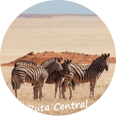 Namibia-Safaris-en-Coche-Ruta-Central
