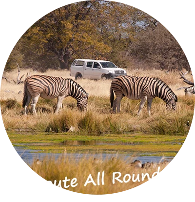 Namibië-Self-Drive-Safari-Reizen-Route-All-Round