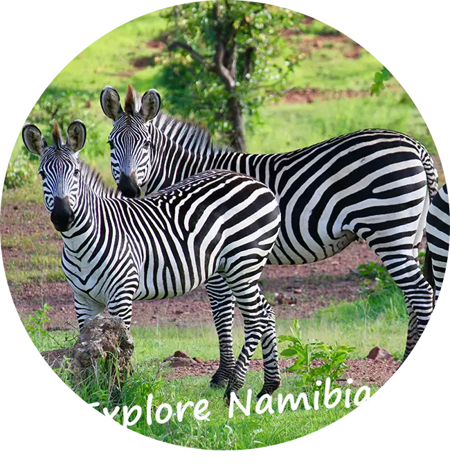 Namibia-Self-Drive-Safari-Rates-Tours