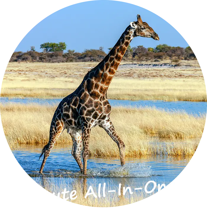 Namibia-Self-Drive-Safari-Tours-Route-All-In-One