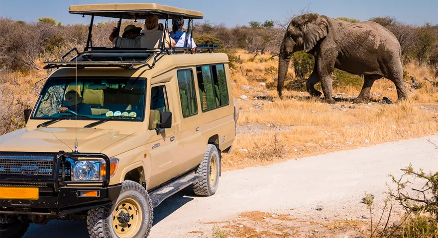 Namibia-safari-trip-seven-guests-driver-stretched Landcruiser