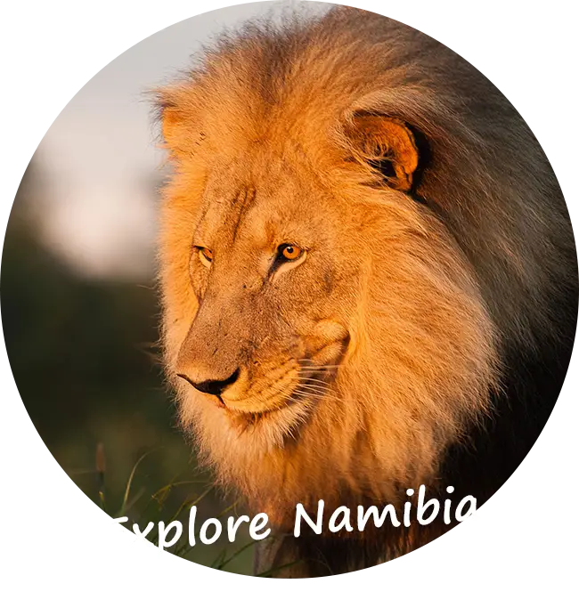 Self-Drive-Namibia-Extra-Options-and-Activities