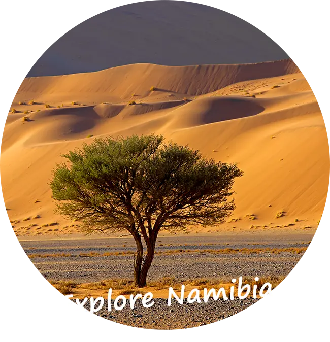 Self-Drive-Safari-Namibia-Travelling-in-Namibia
