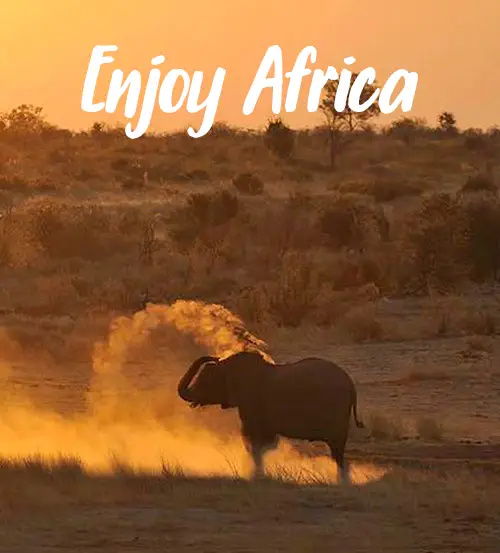 Self-Drive-Safari-Namibia-Travelling-in-Namibia-Enjoy-Africa