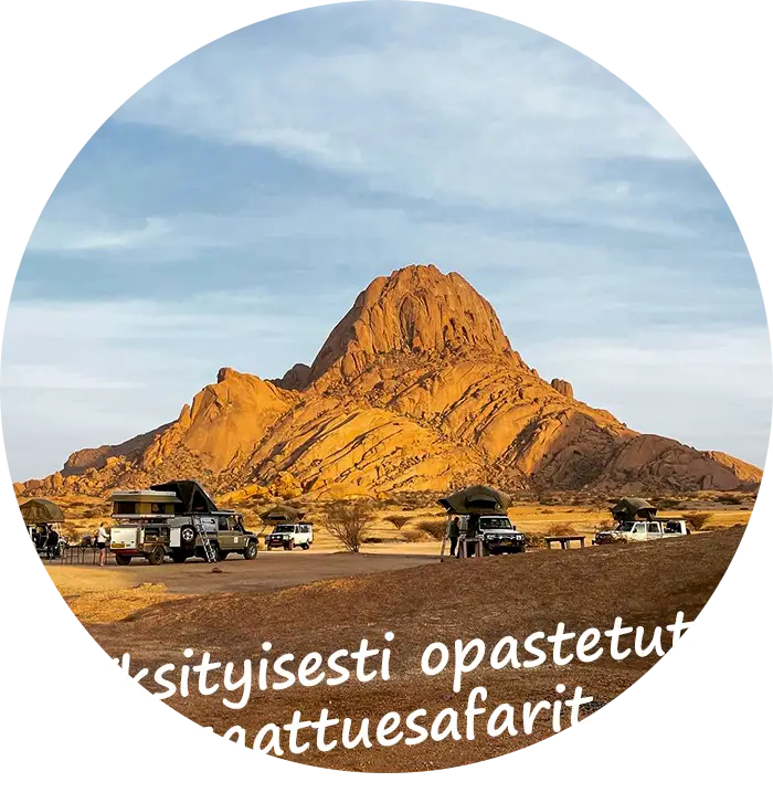 Yksityisesti opastetut saattuesafarit Namibiassa