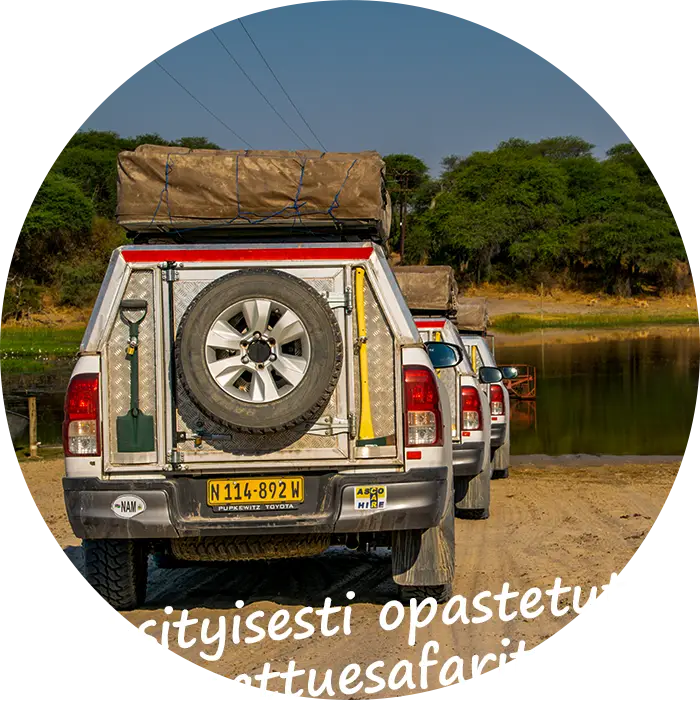 Yksityisesti opastetut saattuesafarit Namibiassa