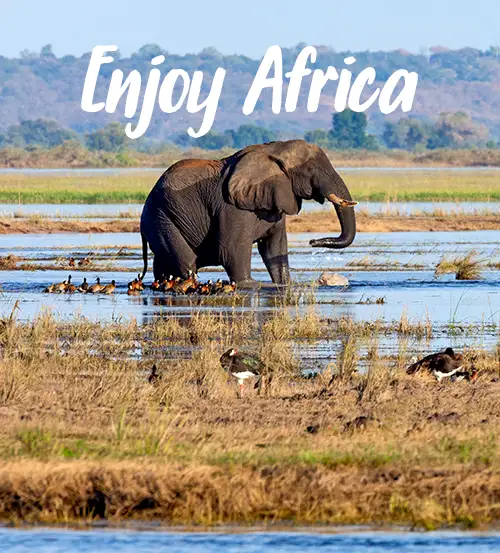 Namibia-Self-Drive-Safari-Add-on-Victoria-Falls-Chobe