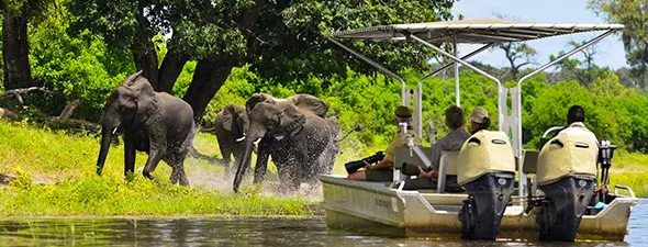 Namibia-Self-Drive-Safari-Add-on-Victoria-Falls-Chobe