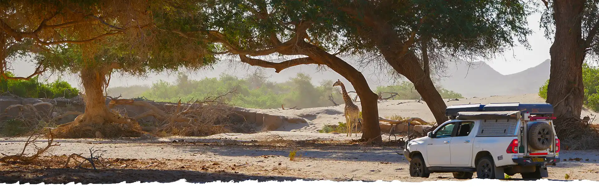 Self-Drive-Safari-Namibia-Travel-Advice