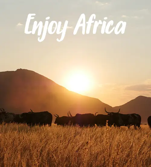 Namibia Private Guided Kaokoland and Skeleton Coast Tour