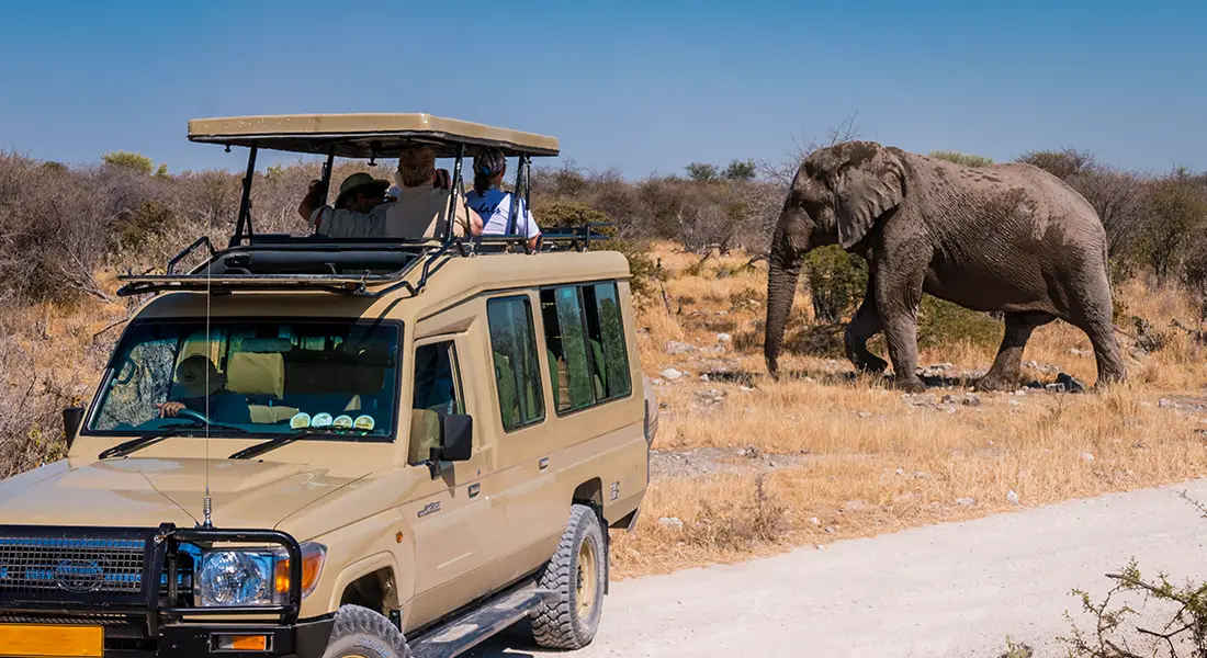 Namibia Private Guided Safari Tour Stretched Landcruiser