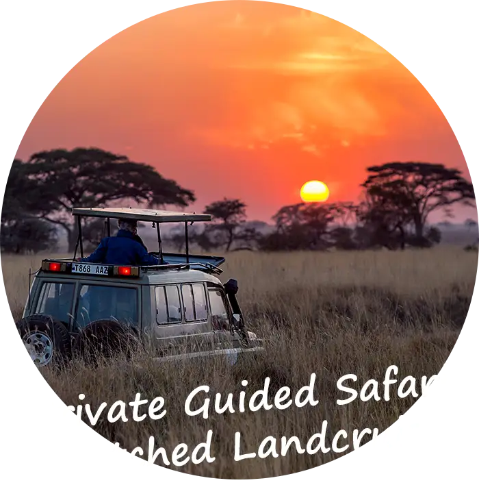 Namibia Private Guided Safari Tour Stretched Landcruiser