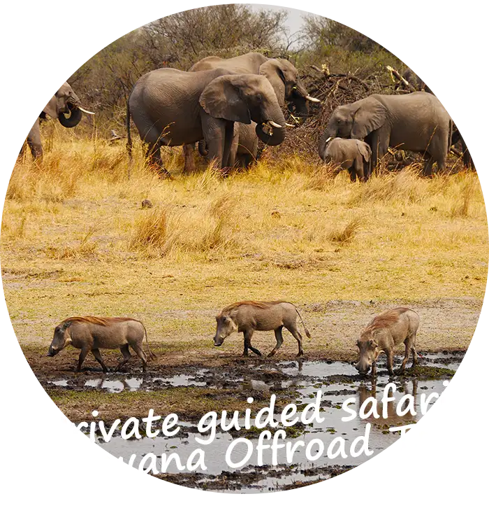 Namibia Private Safari Convoy Botswana Tour