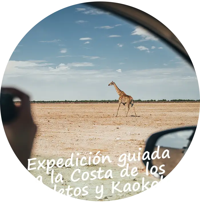 Namibia Expedición guiada a la Costa de los Esqueletos y Kaokoland