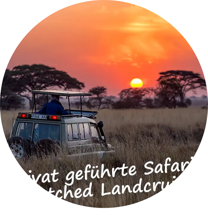 Namibia Privat geführte Safaris Stretched Landcruiser