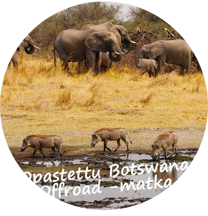 Opastettu Botswana Offroad -matka
